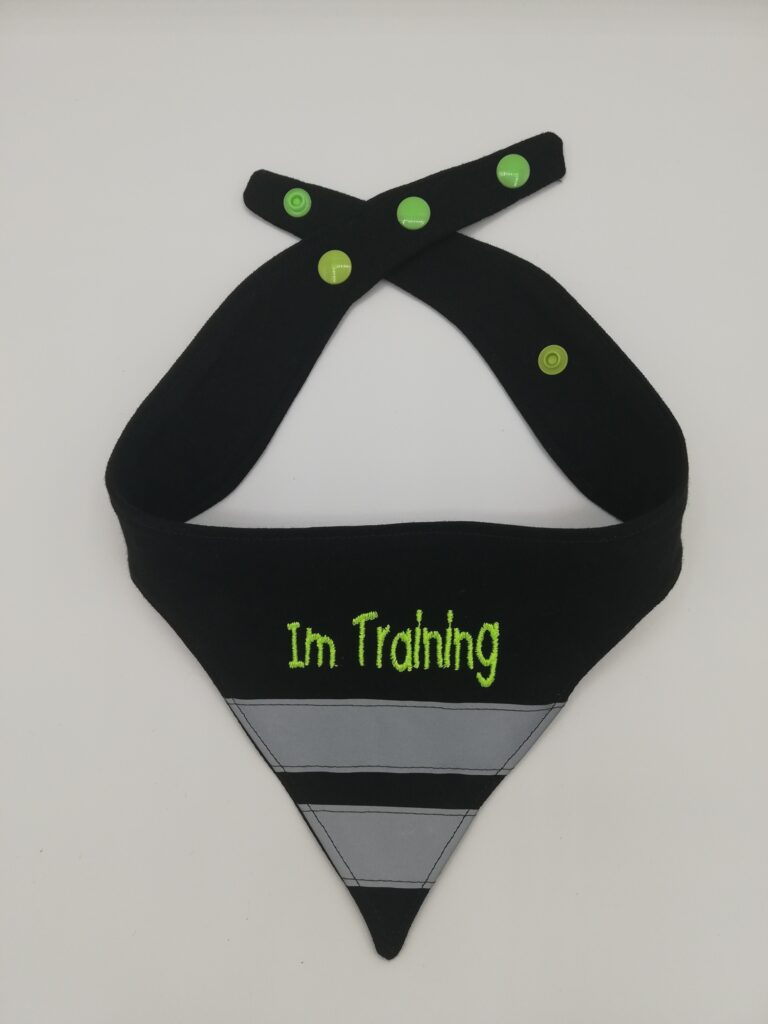 Hundehalstuch " Im Training" Gr. M
