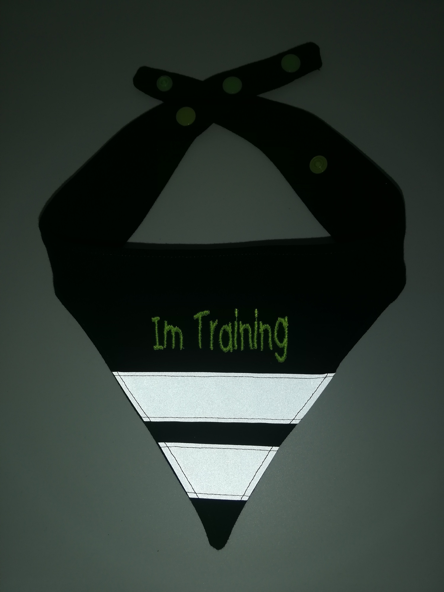 Hundehalstuch " Im Training" Gr. M – Bild 2