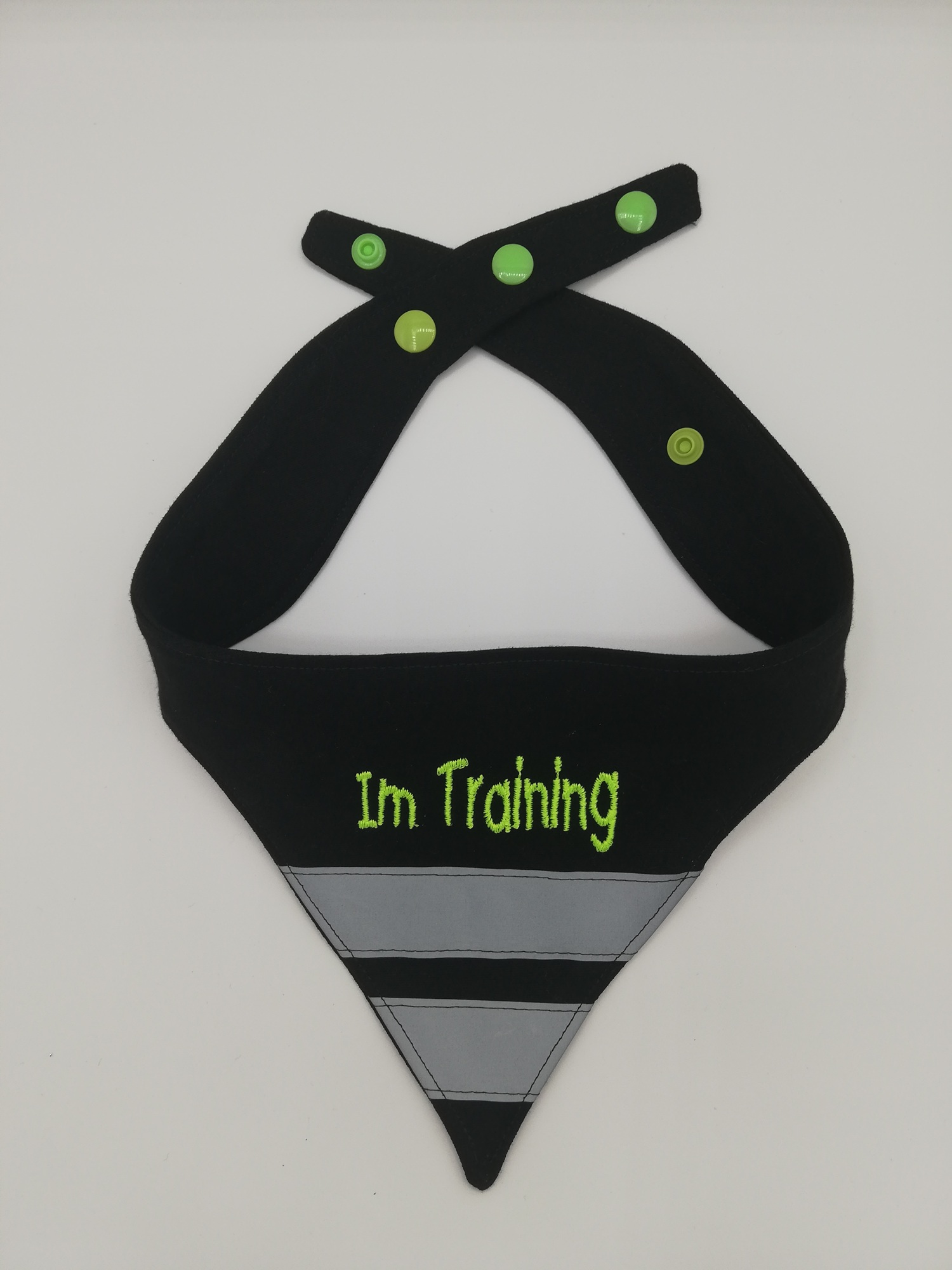Hundehalstuch " Im Training" Gr. M