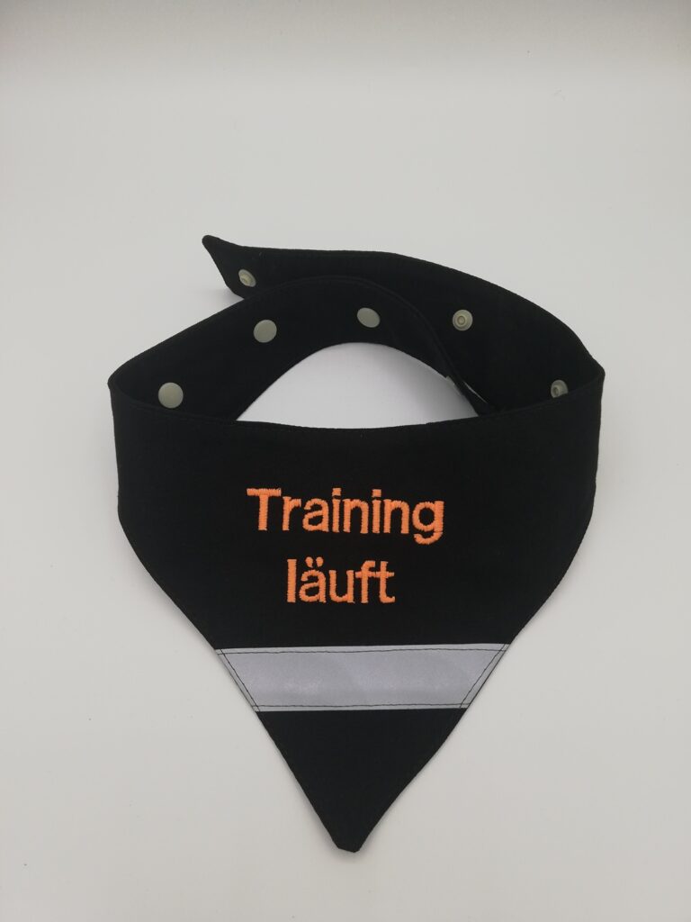 Hundehalstuch " Training läuft" Gr. L