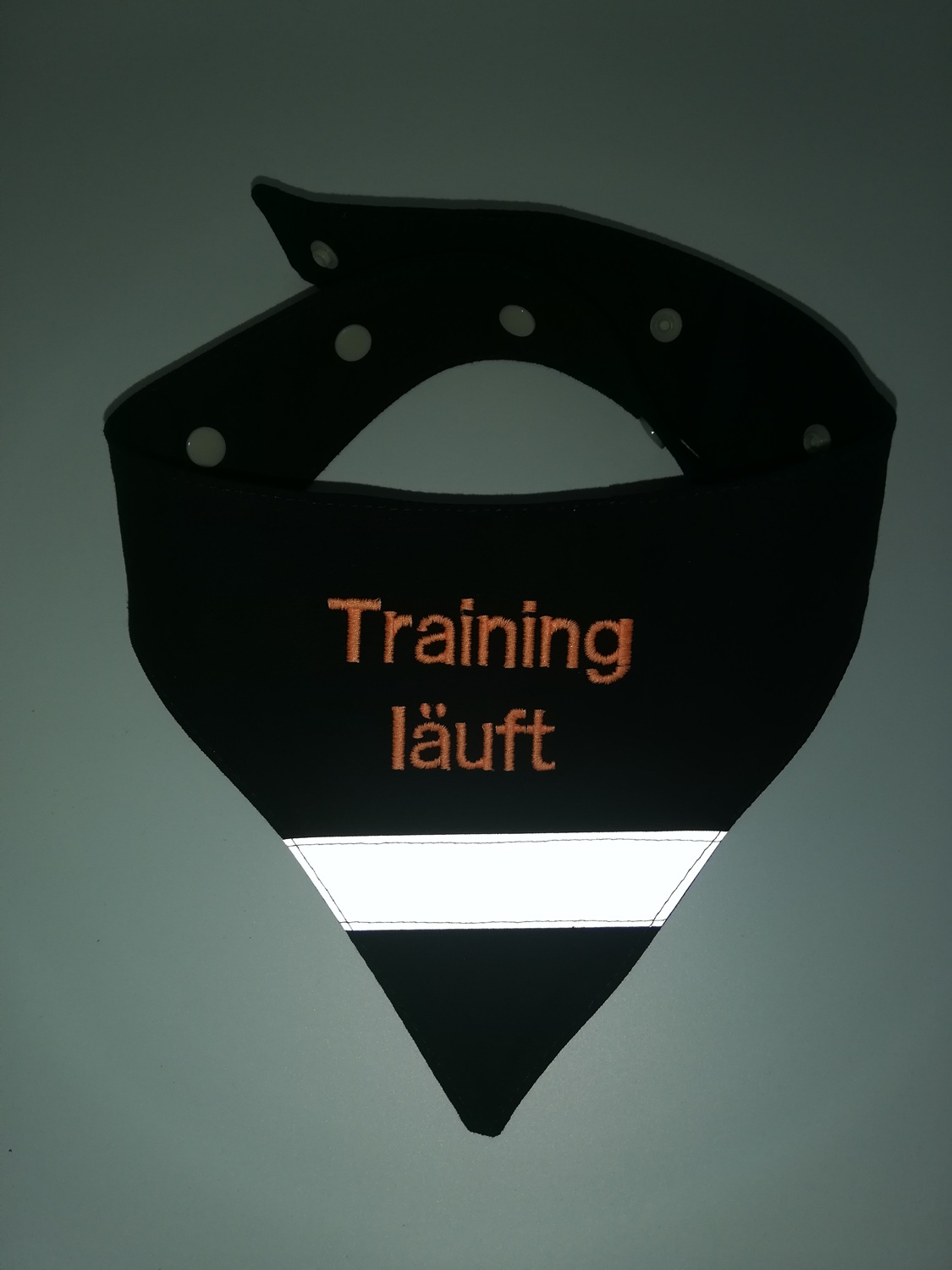 Hundehalstuch " Training läuft" Gr. L – Bild 2